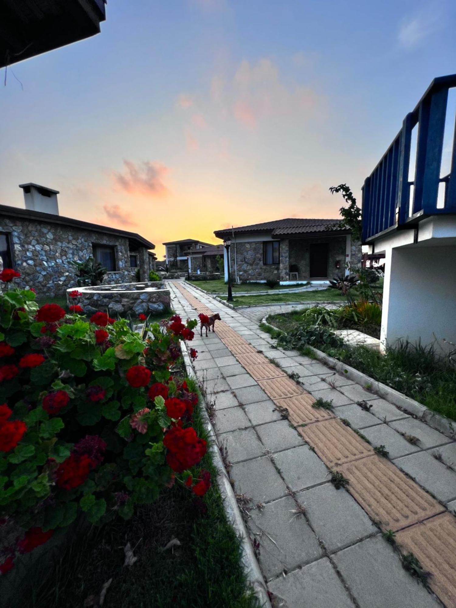 Ardic Agaci Holiday Village Фамагуста Экстерьер фото