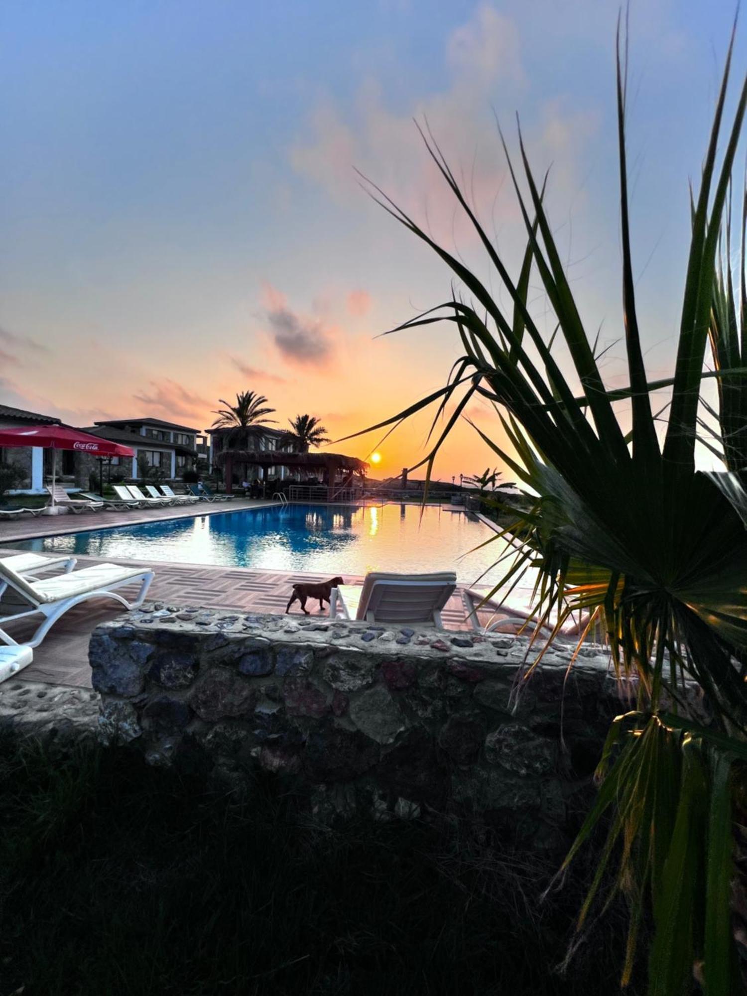 Ardic Agaci Holiday Village Фамагуста Экстерьер фото